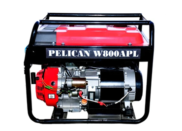 Quick Visa Processing